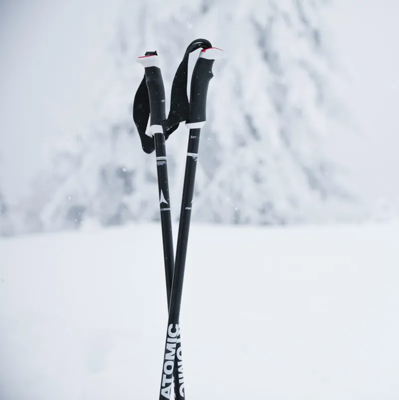 View Ski Poles