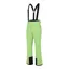 Dare2B Achieve Ski Pants - Green