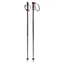 Head Frontside Ski Poles - Black Red