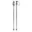 Head Frontside Ski Poles - Black Speed Blue
