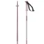 Salomon Polar Ski Poles - Heavenly Pink