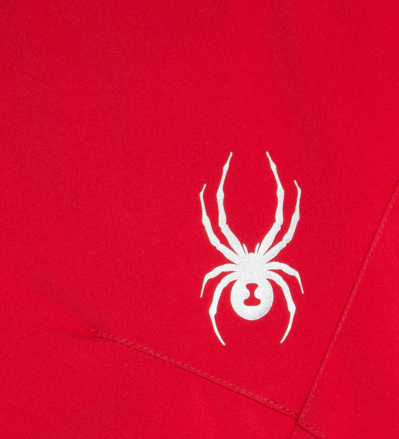 Spyder Propulsion Boys Ski Pants In Red-2