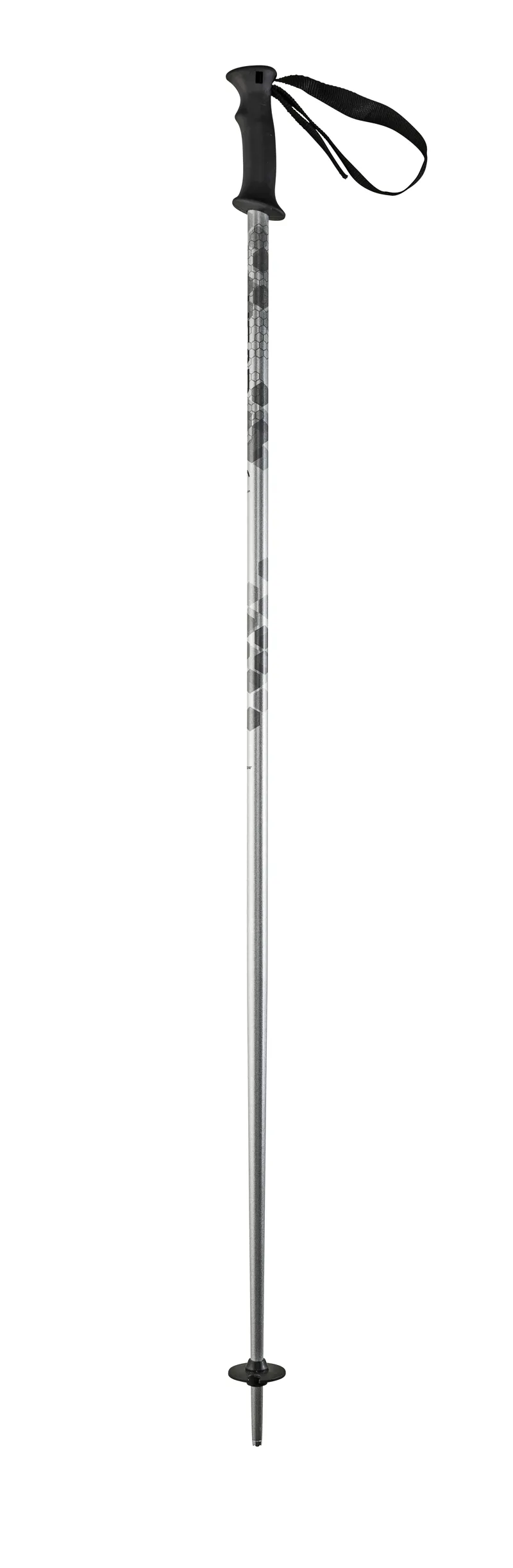 Head Multi Ski Poles in Silver