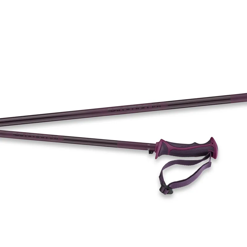 Salomon Arctic Womens Ski Poles In Fig Purple-1