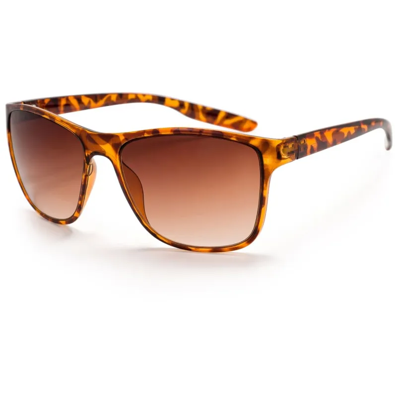 Bloc Cruise 2 F853 Sunglasses in Tort