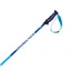 Volkl Phantastick 2 Ski Poles In Blue